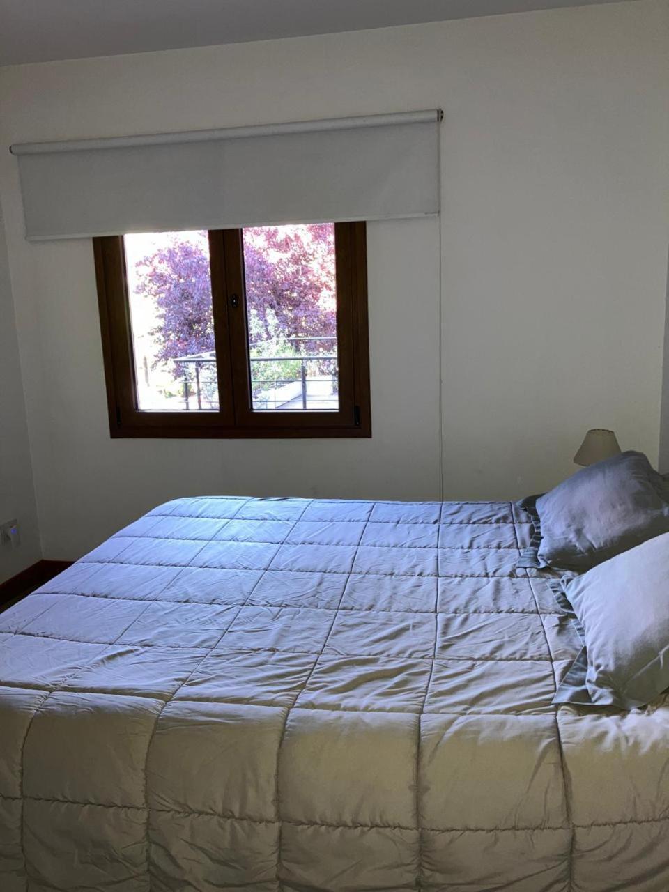 Comodo Departamento Centrico En San Martin De Los Andes Luaran gambar